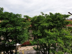 Blk 436 Woodlands Street 41 (Woodlands), HDB 4 Rooms #207878471